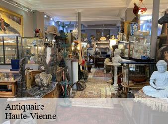 Antiquaire 87 Haute-Vienne  Limousin Antiquité