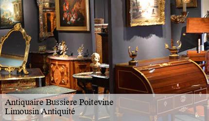 Antiquaire  bussiere-poitevine-87320 Limousin Antiquité