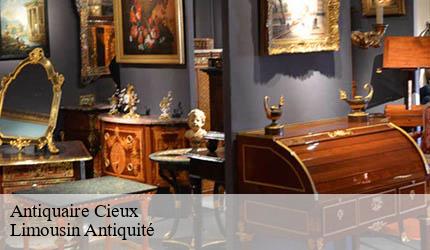 Antiquaire  cieux-87520 Limousin Antiquité