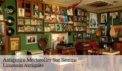 Antiquaire morterolles-sur-semme-87250 Limousin Antiquité