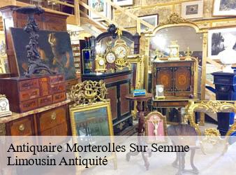 Antiquaire  morterolles-sur-semme-87250 Limousin Antiquité