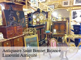 Antiquaire  saint-bonnet-briance-87260 Limousin Antiquité