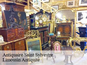 Antiquaire  saint-sylvestre-87240 Limousin Antiquité