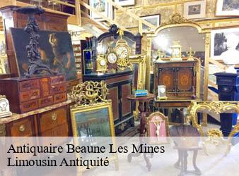 Antiquaire  beaune-les-mines-87280 Limousin Antiquité