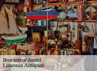 Brocanteur  aureil-87220 Limousin Antiquité