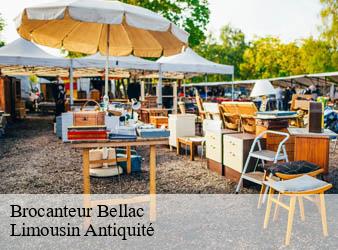 Brocanteur  bellac-87300 Limousin Antiquité