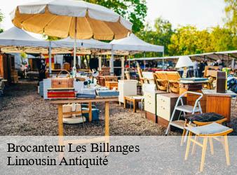 Brocanteur  les-billanges-87340 Limousin Antiquité