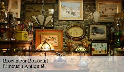 Brocanteur boisseuil-87220 Limousin Antiquité