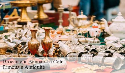 Brocanteur  bonnac-la-cote-87270 Limousin Antiquité