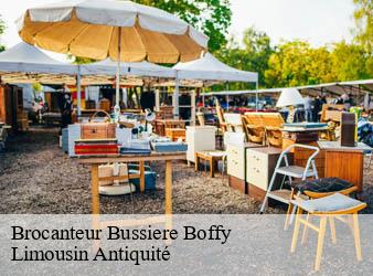 Brocanteur  bussiere-boffy-87330 Limousin Antiquité