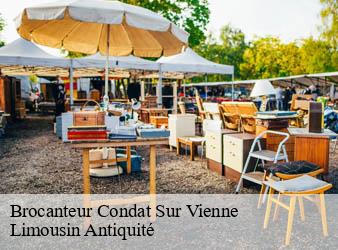 Brocanteur  condat-sur-vienne-87920 Limousin Antiquité