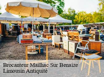 Brocanteur  mailhac-sur-benaize-87160 Limousin Antiquité