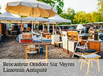 Brocanteur  oradour-sur-vayres-87150 Limousin Antiquité