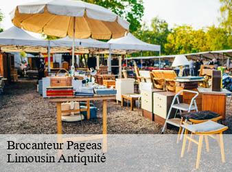 Brocanteur  pageas-87230 Limousin Antiquité