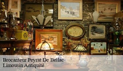 Brocanteur peyrat-de-bellac-87300 Limousin Antiquité