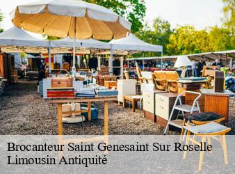 Brocanteur  saint-genesaint-sur-roselle-87260 Limousin Antiquité