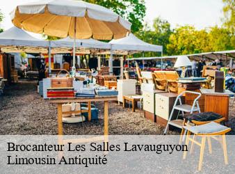 Brocanteur  les-salles-lavauguyon-87440 Limousin Antiquité
