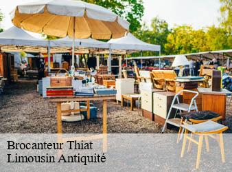 Brocanteur  thiat-87320 Limousin Antiquité