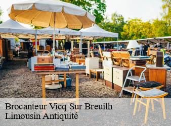 Brocanteur  vicq-sur-breuilh-87260 Limousin Antiquité