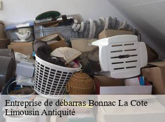 Entreprise de débarras  bonnac-la-cote-87270 Limousin Antiquité