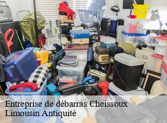 Entreprise de débarras  cheissoux-87460 Limousin Antiquité