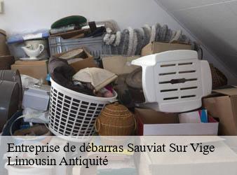 Entreprise de débarras  sauviat-sur-vige-87400 Limousin Antiquité