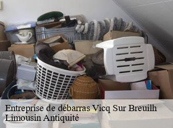 Entreprise de débarras  vicq-sur-breuilh-87260 Limousin Antiquité