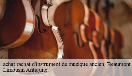achat rachat d'instrument de musique ancien   beaumont-du-lac-87120 Limousin Antiquité