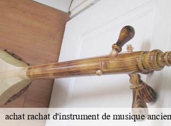 achat rachat d'instrument de musique ancien   beaumont-du-lac-87120 Limousin Antiquité