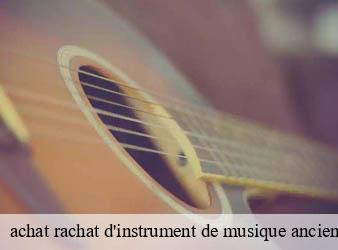 achat rachat d'instrument de musique ancien   razes-87640 Limousin Antiquité